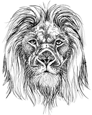 ART : Lion