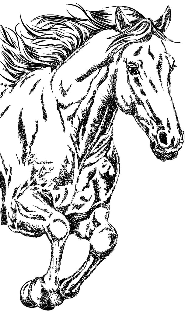ART : Horse