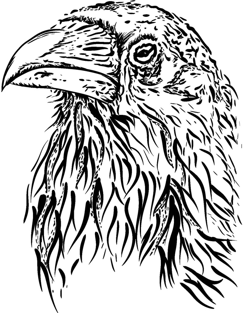 ART : Raven